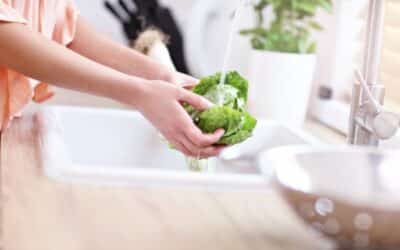 Summer Plumbing Tips