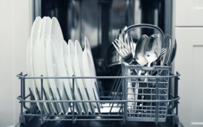 Reasons Why Your Dishwasher Is Not Draining And What You Should Do