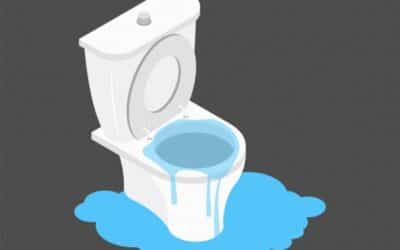 What to Do When the Toilet Overflows