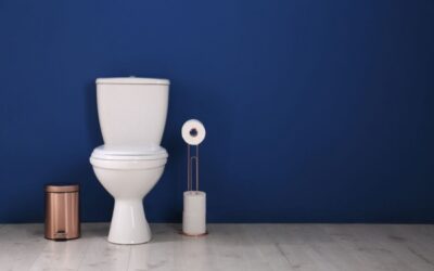 Comfort Height Toilets