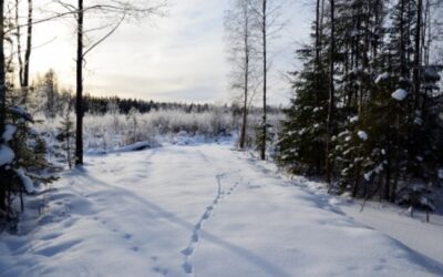 Fall Swamp Cooler Shutdown