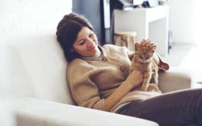 Pets and Indoor Air Quality