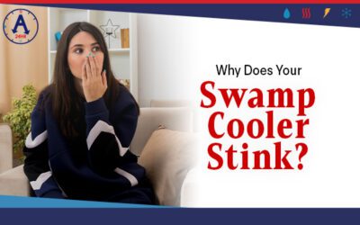 Why Does Your Swamp Cooler Stink?