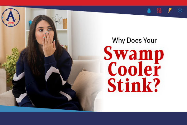 Why Does Your Swamp Cooler Stink?