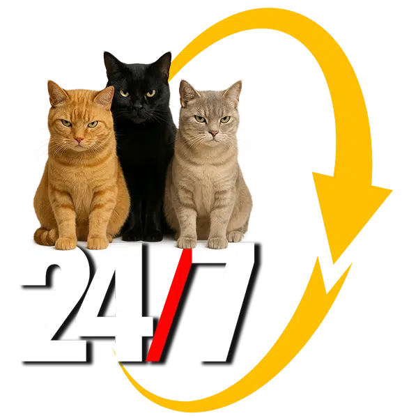 24/7 Emergency repairs